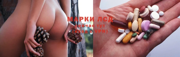 дживик Беломорск