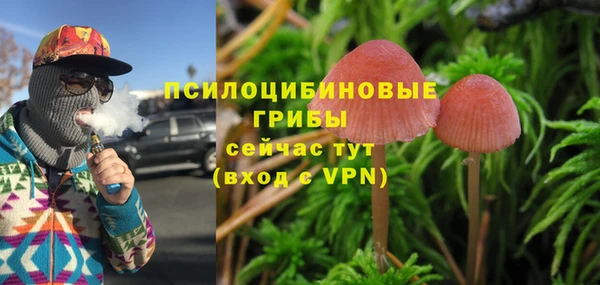 марки lsd Белокуриха