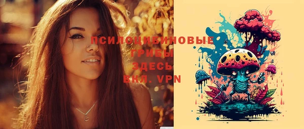 твердый Белоозёрский